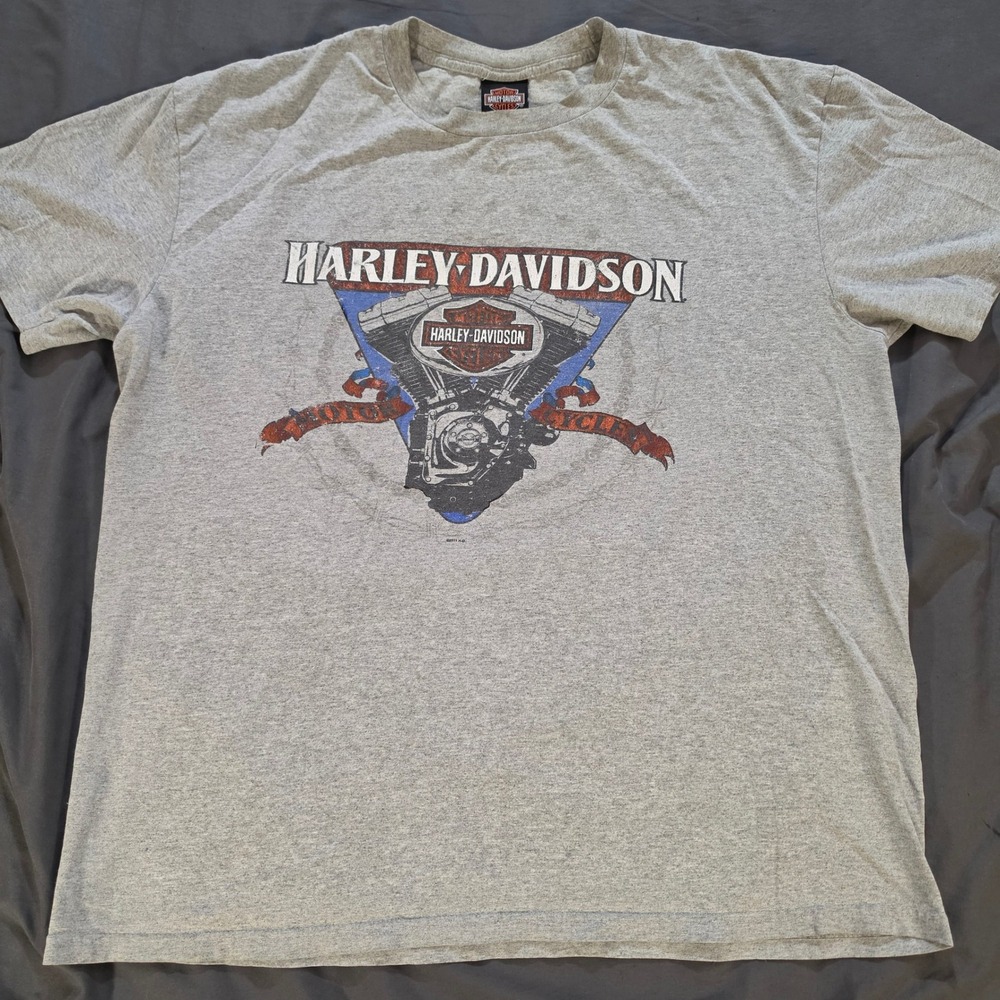 Harley Davidson T-Shirt Mens XL Gray Lake Shore Libertyville IL 2011 Graphic Tee